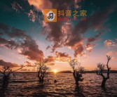 云南昆明滇池王官湿地公园短视频素材