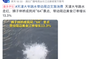 天津大爷跳水视频抖音爆火，带动狮子林桥周边酒旅订单环比增长16.3%
